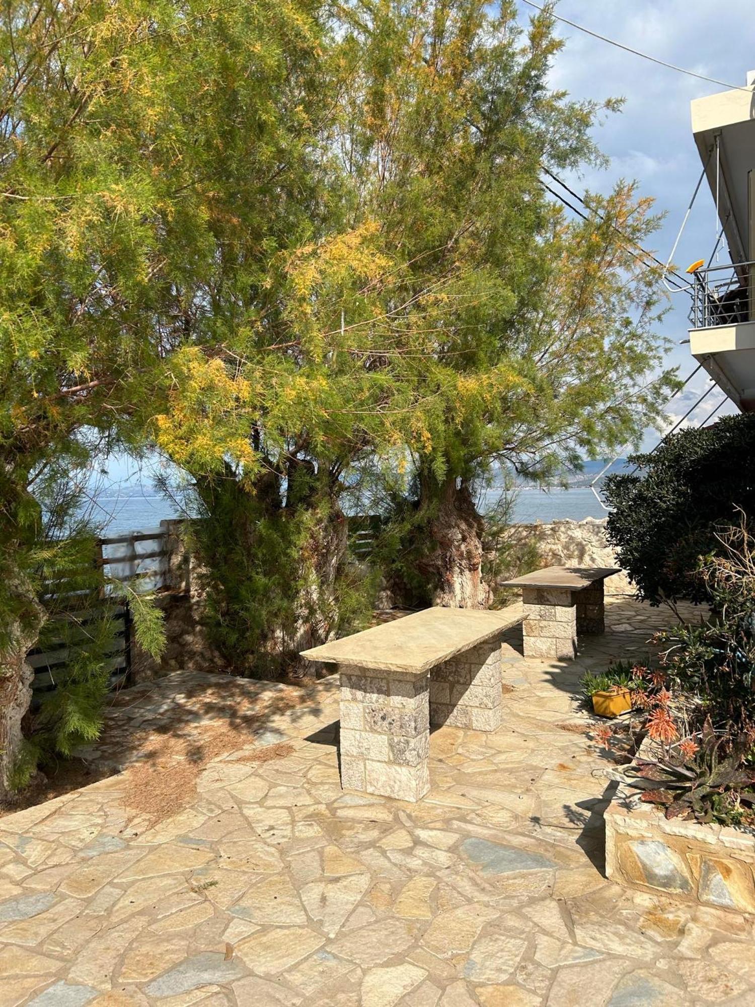 Paralia Irion Sofia Apartments מראה חיצוני תמונה